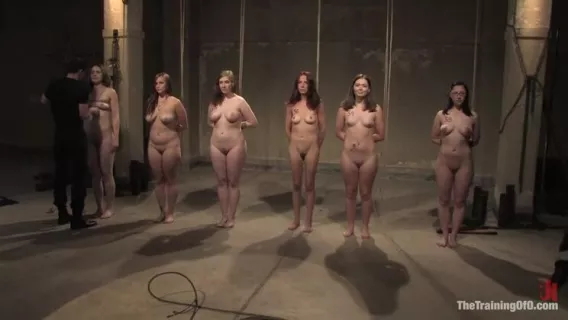 ◤The Training Of O◢ Sarah Shevon, Savannah West And Sasha Lexing In The Auditions Part One ►Nerine Mechanique, Maggie Mayhem, Sasha Lexing