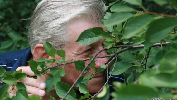 ◤Oldje◢ Boobarella ►Monika, Barney