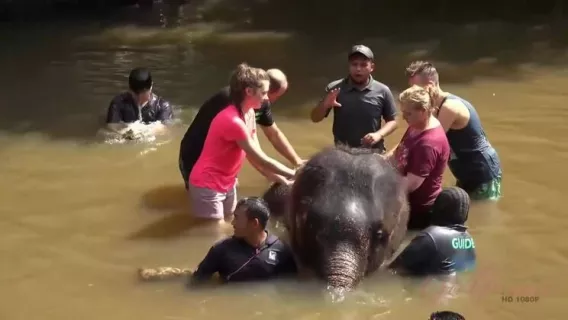 ◤ATK Girlfriends◢ Elena Koshka In You Have An Epic Day Trip With Elena, And Nothing Could Be Better! ►Elena Koshka