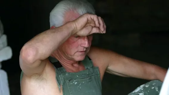 ◤Oldje◢ Pit Babe ►Barry, Bibi Fox